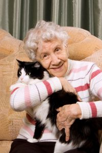 Bejaarde vrouw met kat op schoot