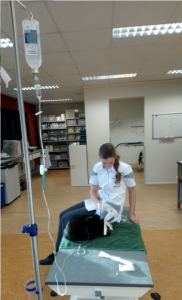 dierenartsassistent zit op de behandeltafel bij een kat die een infuus krijgt